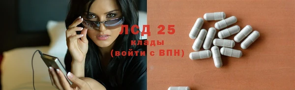 стафф Надым