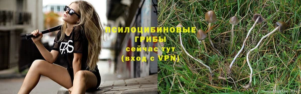 jwh Абаза