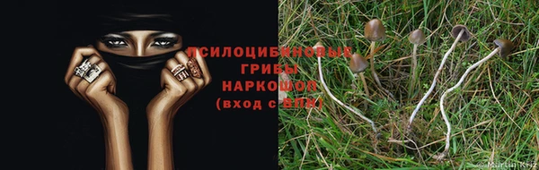 СК Алексеевка